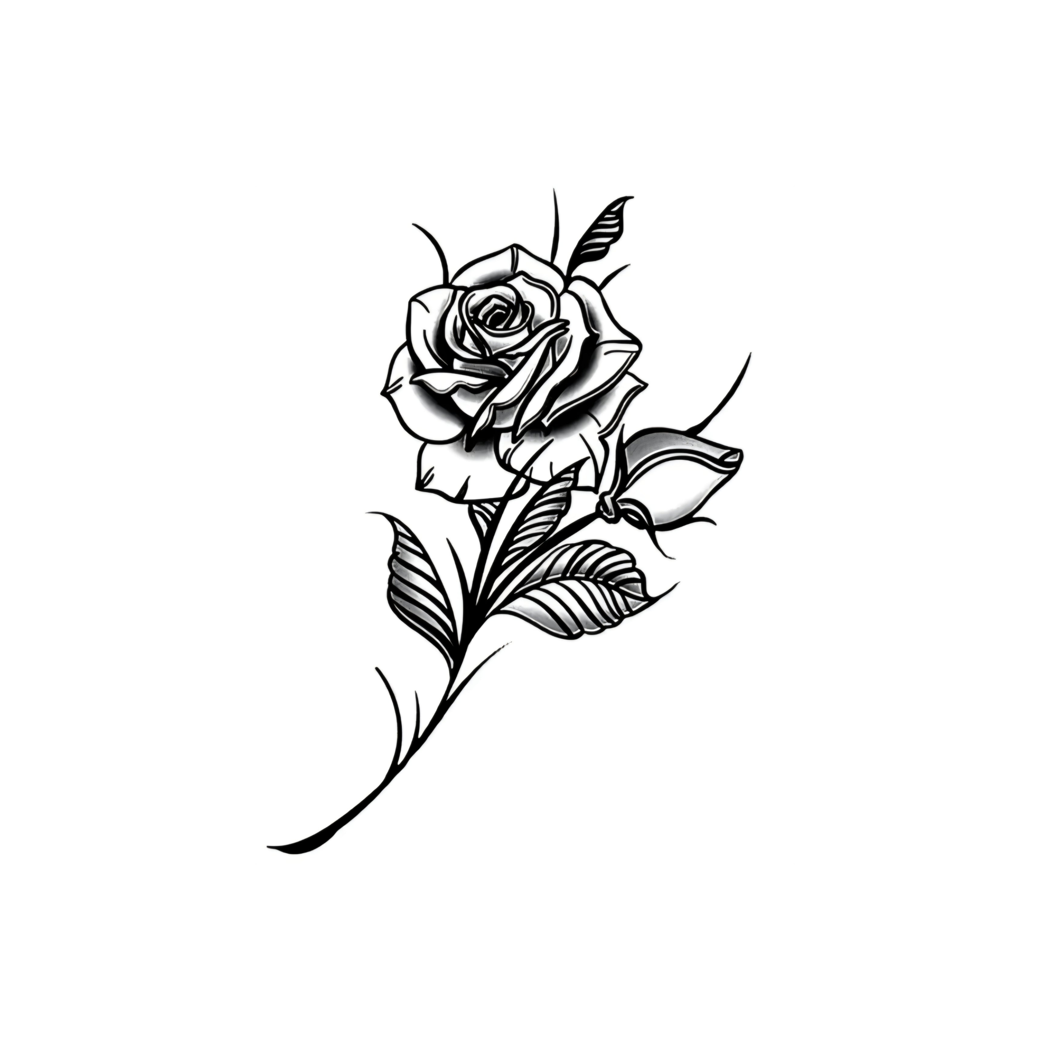 ROSA - Dark e magnetica