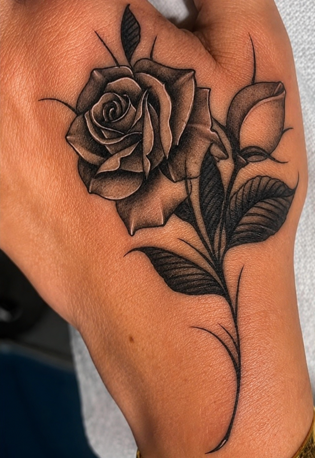 ROSA - Dark e magnetica